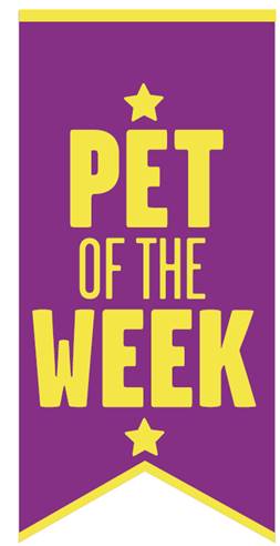 Sponsorship of 'Pet of the Week' competition on Boomerang