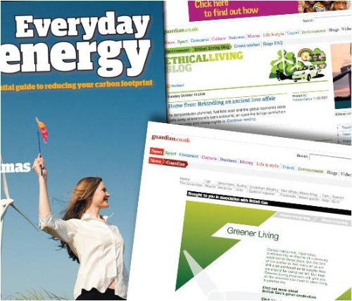 CASE STUDY: British Gas Greener Living Partnership with Guardian