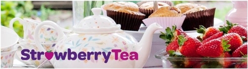 CASE STUDY: Breast Cancer Care 'Strawberry Tea Parties' campaign